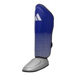 Blue/Silver