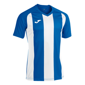Camiseta Pisa II Joma